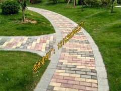 如何选择手机看片在线免费厂家